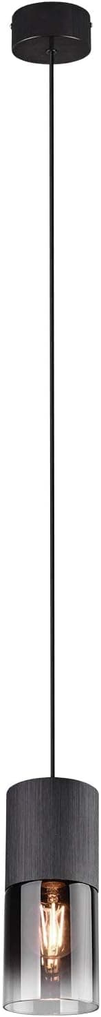 Trio Leuchten Suspension Robin 310600132 - Métal noir mat et verre fumé - 1 ampoule E27 non incluse ( Diametre - 10cm)