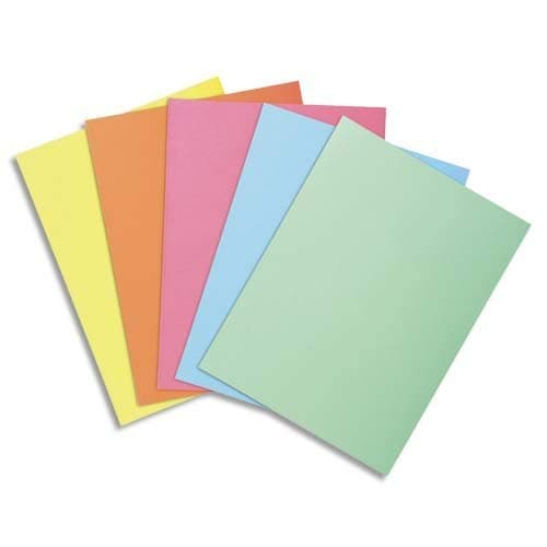 Exacompta Carton de 10 paquets de 30 sous-chemises SUPER A4 pastel