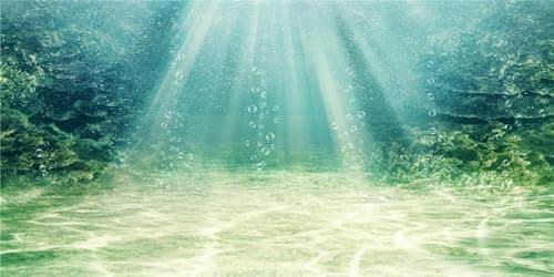 MIRRORANG Fond d'aquarium 76x30cm Toile de fond vinyle motif plantes aquatiques