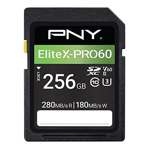 PNY Carte Mémoire SDXC 256 Go EliteX-PRO60 Classe 10 U3 V60 UHS-II