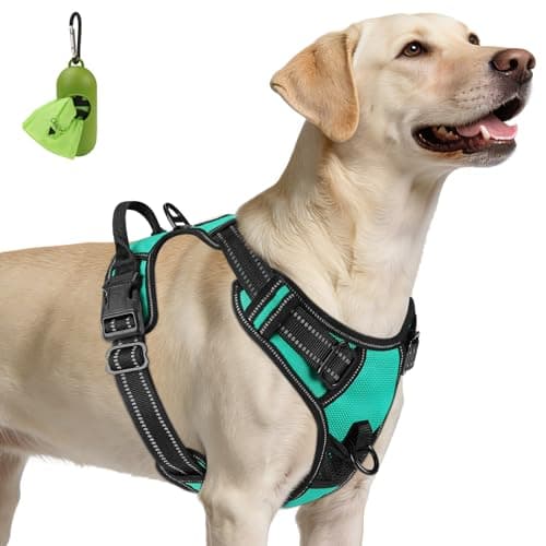 Joytale Harnais Anti-Traction Grand Chien Turquoise Taille L