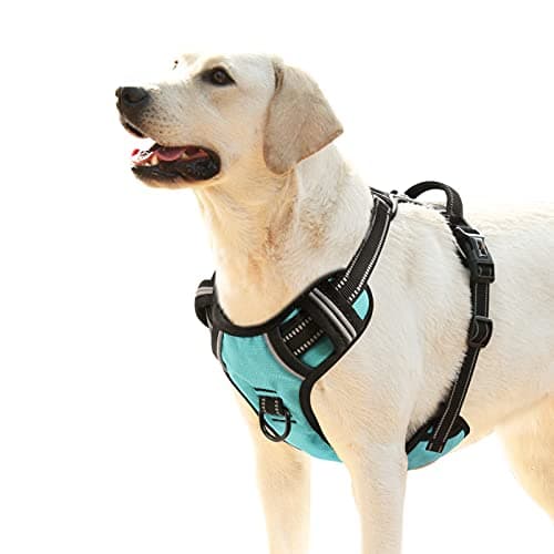 HEELE Harnais Chien Anti Traction Réfléchissant Turquoise L