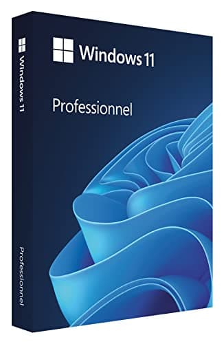 Microsoft Windows 11 Professionnel 64-bit Français USB