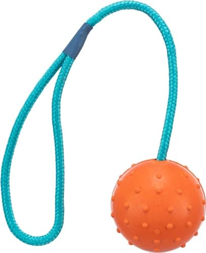 Trixie Balle sur Corde Robuste en Caoutchouc pour Chien – ø 6/30 cm