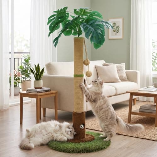 Woochpet Arbre à chat d'intérieur pour chats et chatons – Arbre à chat de 90 cm de haut avec corde en sisal, arbre à chat avec boule de suspension
