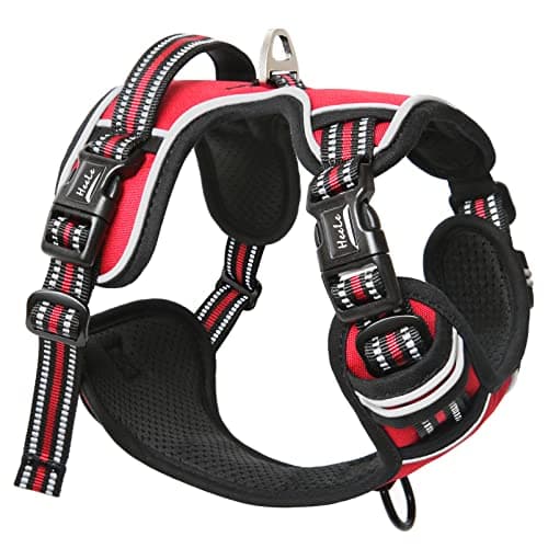HEELE Harnais Chien avec 3 Boucles, Ouverture Cou Facile à Mettre, Rouge, L