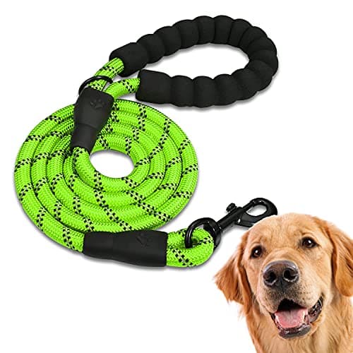 Edipets Laisse pour Chien Rembourrée 1.2M Verte