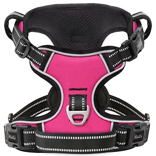 HEELE Harnais Chien 3 Boucles Ouverture Cou Fuchsia XL Anti Traction