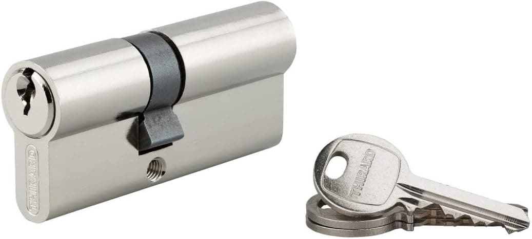 THIRARD, SA, Cylindre de serrure double entrée, 30 x 40 mm, Nickel, 3 clés | Protection anti-arrachement, finition nickelée, mécanisme à goupilles, compatible portes intérieures et extérieures