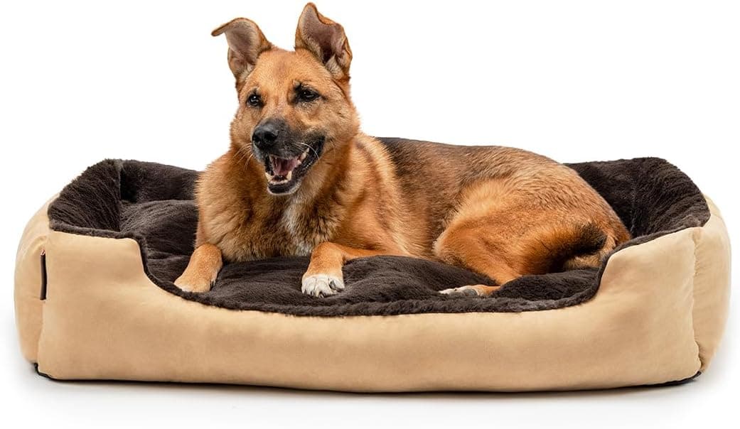 lionto Lit pour Chien avec Coussin réversible et Base antidérapante, Coussin Douillet pour Animaux avec entrée Basse pour Chiens et Chats de Tout âge, 90x70 cm, Marron/Beige