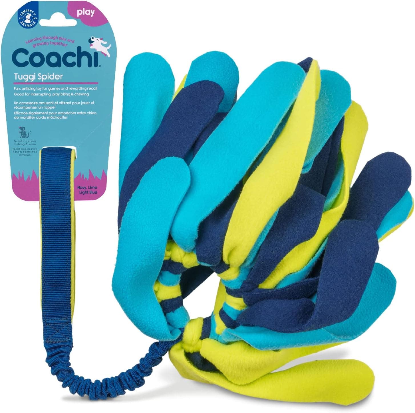 Coachi Tuggi Spider, pour Tirer, Solide et Confortable, poignée élastique, pour Chiens et Chiots, Dressage avec récompense, Rappel, Stop aux morsures et mâchonnements. Parfait pour l’agilité.