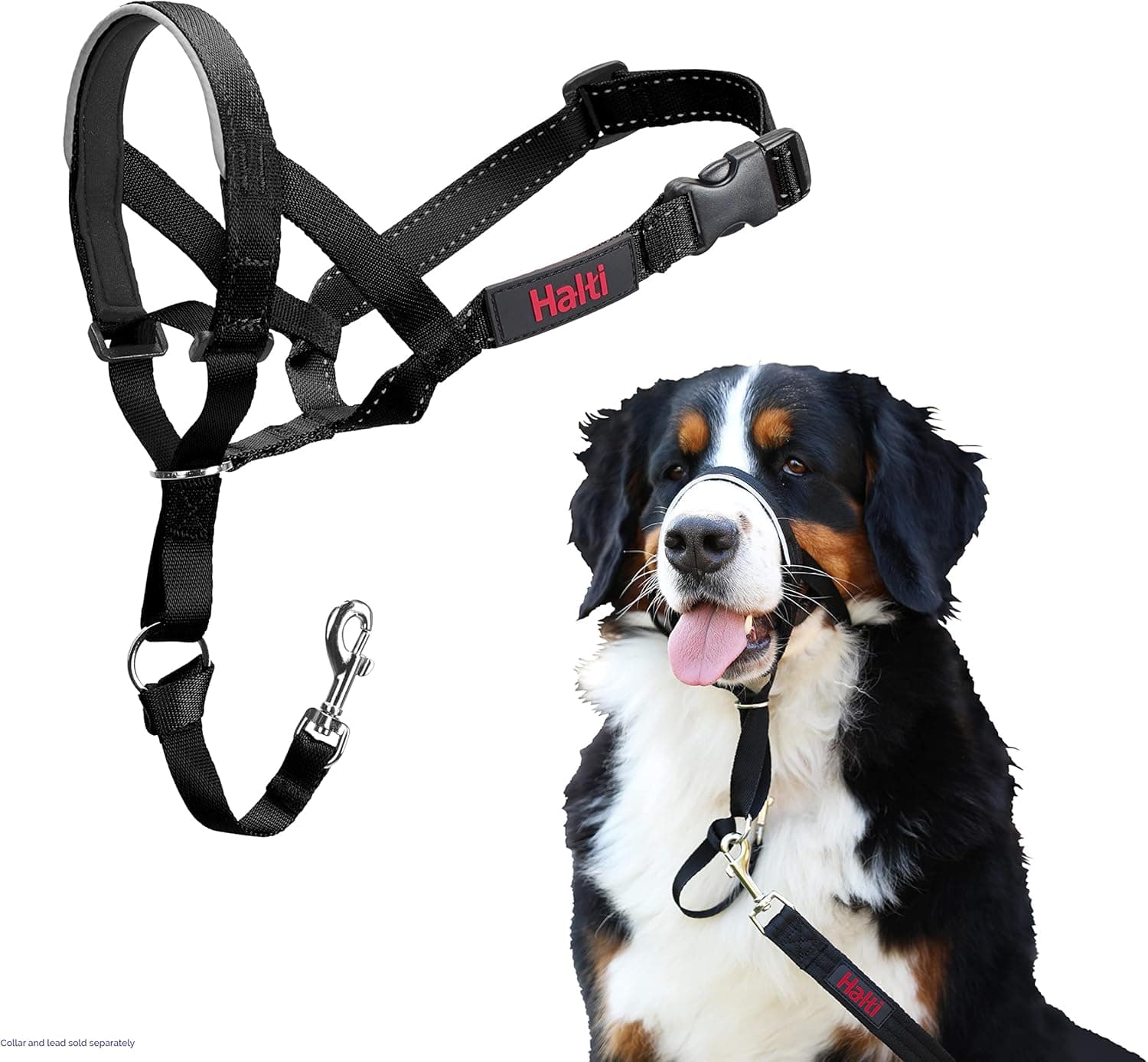 Licol Halti pour Chiens | Taille 4, Noir | Pour que votre chien arrête de tirer sur sa laisse, Muserolle Matelassée, Colliers anti-traction pour grands chiens
